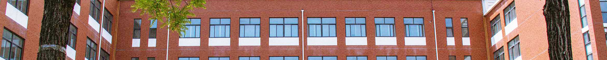 雷竞技app下载官方版马克思主义学院