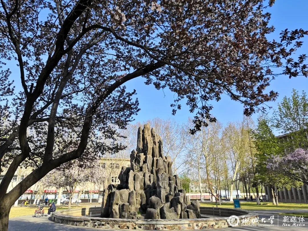 西校区假山风景